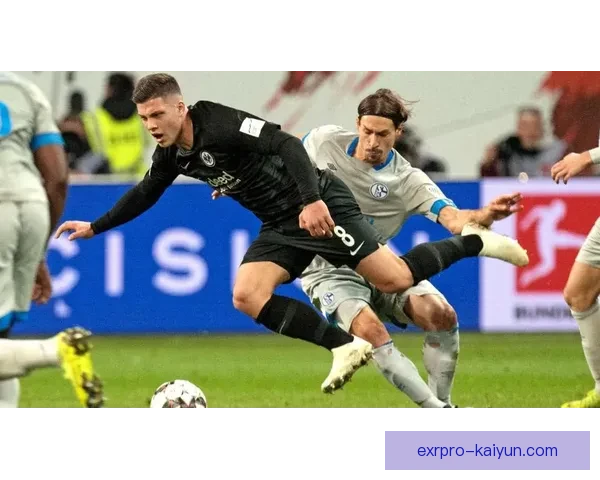 德甲法兰克福引援动态持续引发关注，球队潜力待挖掘